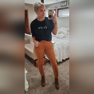 Anthropologie Pilcro and the Letterpress Picardy Jodhpurs Suede Panel Pants